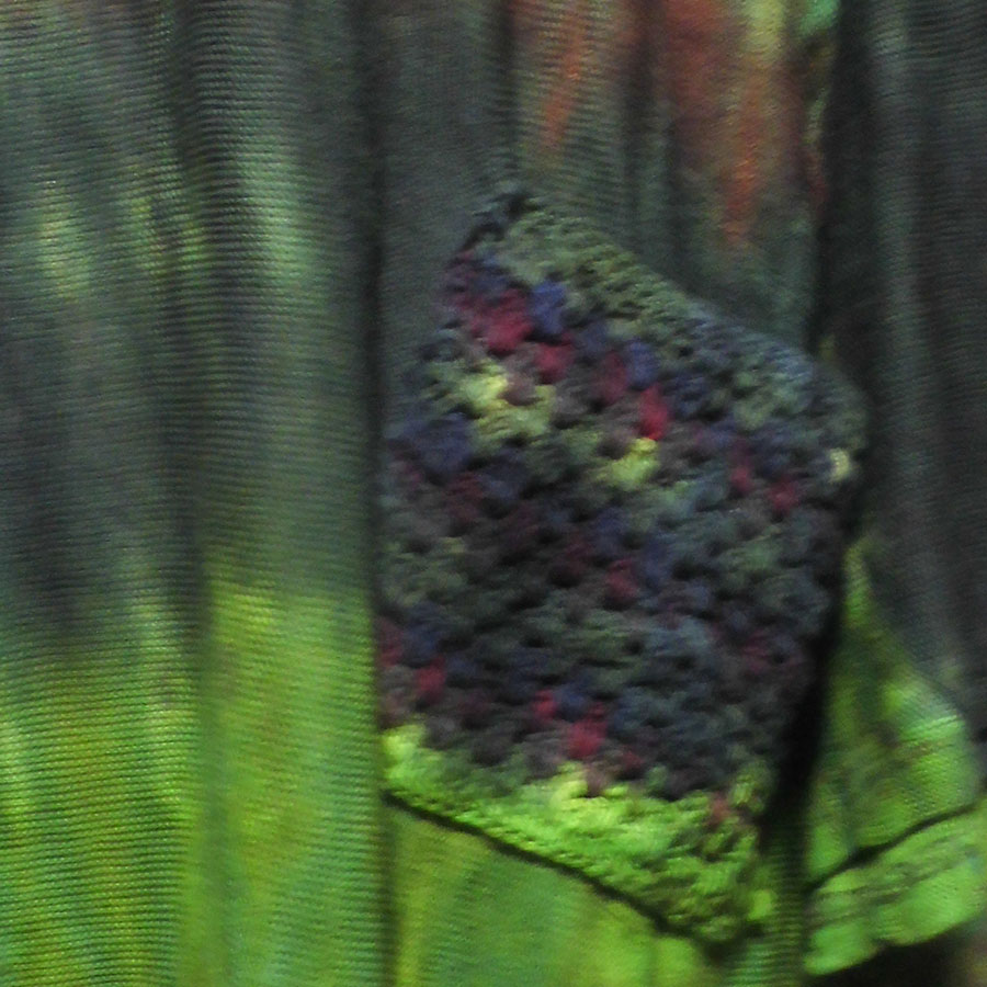 アジアン衣料 NTS-14 ネパール・タイダイブラウス