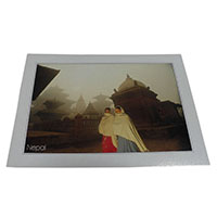 �A�W�A���G�݁@�l�p�[���E�|�X�g�J�[�h(����)