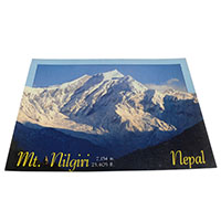 �A�W�A���G�݁@�l�p�[���E�|�X�g�J�[�h(�R�Ǝ��R)